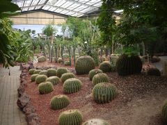 -呀路古热带植物园