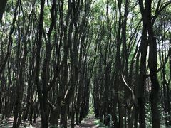 -同里国家湿地公园