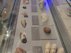 -中国（海南）南海博物馆