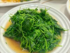 -海金滋(陕西南路店)