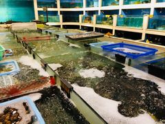 -同君福大酒楼(紫新路店)