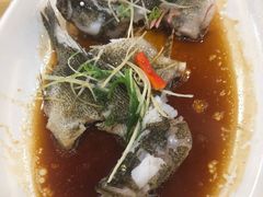 -寻味顺德·南记酒家·传统顺德菜·鱼生(广源路店)