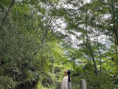 -龙窝子