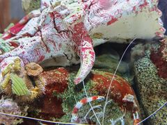 -太平洋海底世界