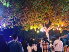 -郑州方特梦幻王国