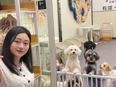 -有喵·猫咖·狗咖·30几只猫10只小狗(岗厦店)