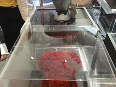 -ROSEONLY诺誓(广州K11店)