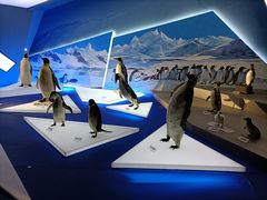 -贝林大翅鲸简餐厅(国家海洋博物馆店)