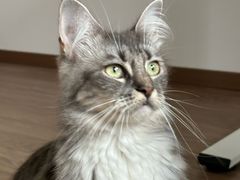 -贝康宠物医院·犬猫全科·小动物特色诊疗中心(东环路店)