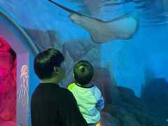-常州海昌海洋探索馆