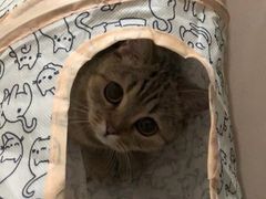 -芭比堂动物医院广州顽皮分院