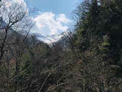 -陕西省红河谷森林公园