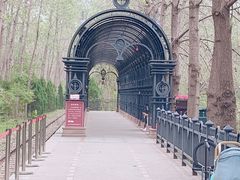 -合肥滨湖国家森林公园