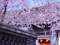 -三里河公园