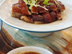 -椿记烧鹅(叠彩店)