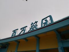 -百万葵园