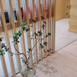 -SKIN·K肌肤唤醒中心