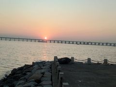 -宝安西湾红树林湿地公园