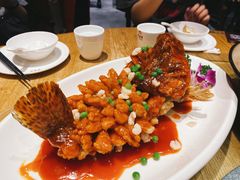 -新梅华(太仓万达店)