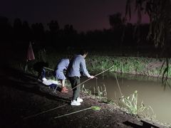 -同銮特种养殖场·龙虾垂钓