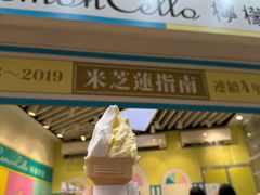 -柠檬车露(卖草地店)
