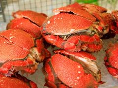 -金鸡湖大酒店·金咖啡厅(国宾路店)