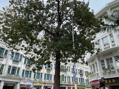 -中山路步行街