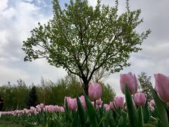 -长春公园(普阳街道)