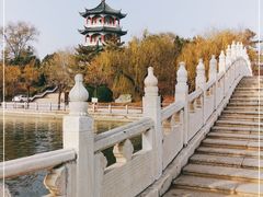 -莱西月湖公园