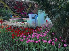 -石家庄市植物园
