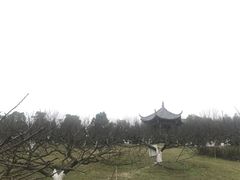 -秀丽东方