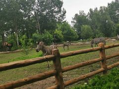 -大连森林动物园