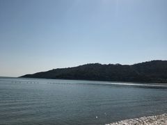 -太兴餐厅(小径湾店)