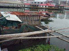 -君豪蟹都·湖景·农家乐(蟹舫苑店)