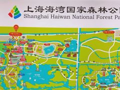 -上海海湾国家森林公园