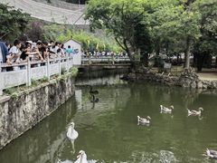 -黔灵山公园