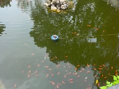 -宝通禅寺