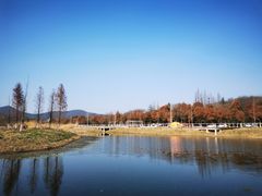 -佛手湖郊野公园
