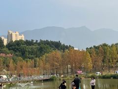 -牛岗山公园