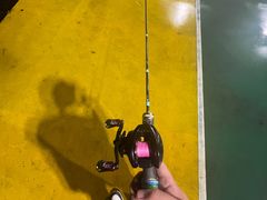 -怡海公园(桂城街道)