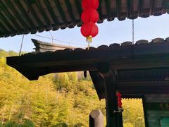 -大唐贡茶院
