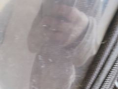 -瑞派宠物医院·犬猫全科·猫友好(宾水西道店)