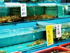 水产区-新享乐海鲜(翠华路店)