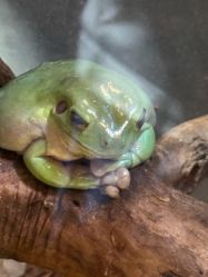 -Zoolung Zoolung动物主题公园(海信广场店)