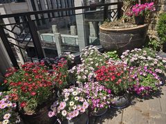 -瓦库茶馆17号(海汇港店)