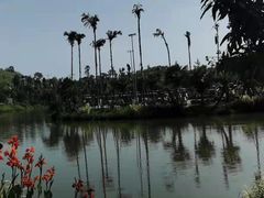 -枫香湖儿童公园