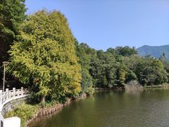 -深圳仙湖植物园