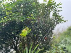 -海南铜鼓岭景区