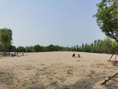 -东郊湿地公园