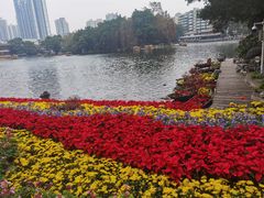 -荔湾湖公园